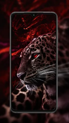 Cheetah Leopard Wallpaper | Игры | XWorld