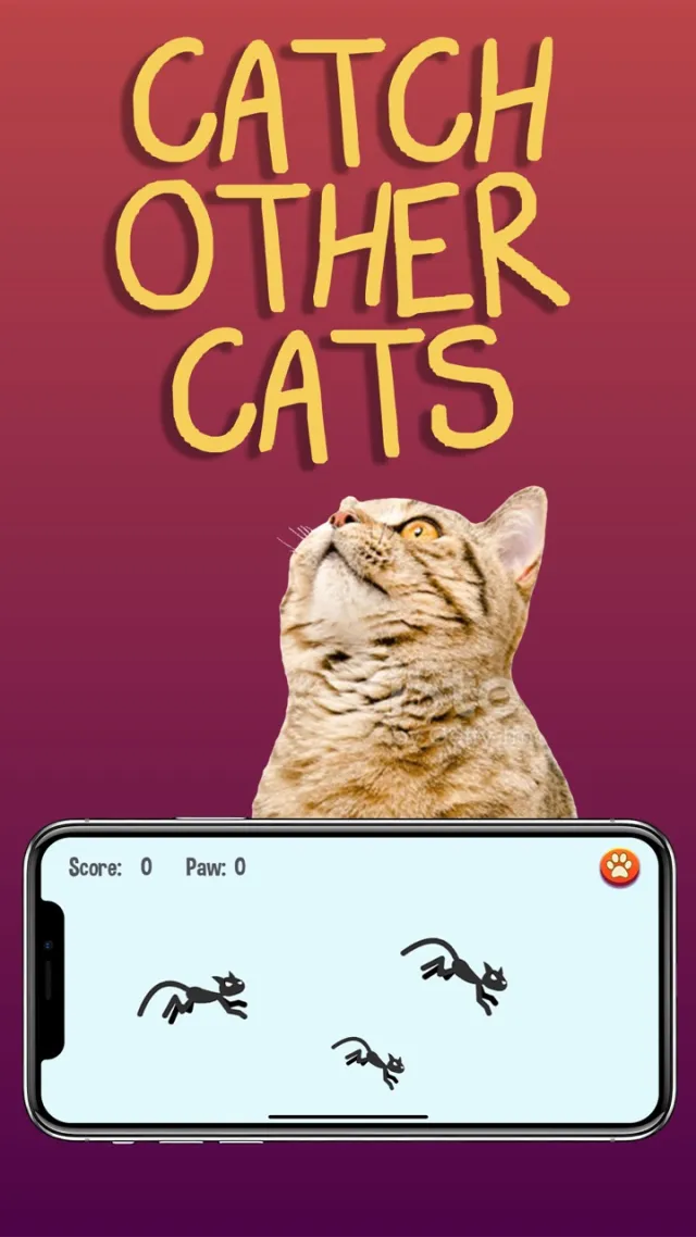 Permainan untuk kucing | Permainan | XWorld