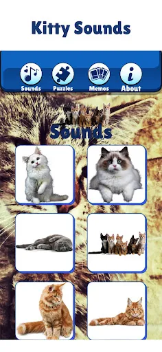 Kitty Cat Games For Kids Meow | 游戏 | XWorld Kitty Cat Games For Kids Meow | 游戏 | XWorld