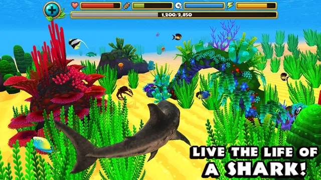Wildlife Simulator: Shark | Games | XWorld