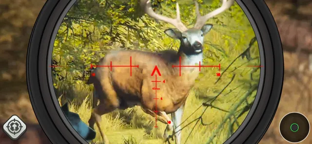 Wild Animal Hunting Simulator | 游戏 | XWorld