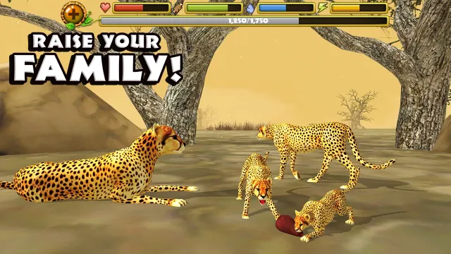 Cheetah Simulator | Jogos | XWorld