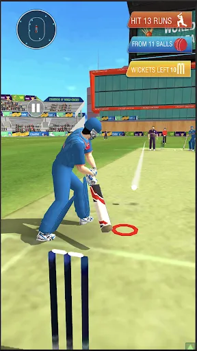 Super Chase Cricket Challenge | 游戏 | XWorld