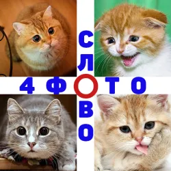 XWorld | 4 Фото 1 Слово. Где логика?