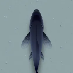 XWorld | CAT ALONE 2 - Cat Toy