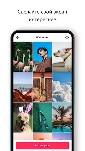 TickTock-TikTok Live Wallpaper | Игры | XWorld