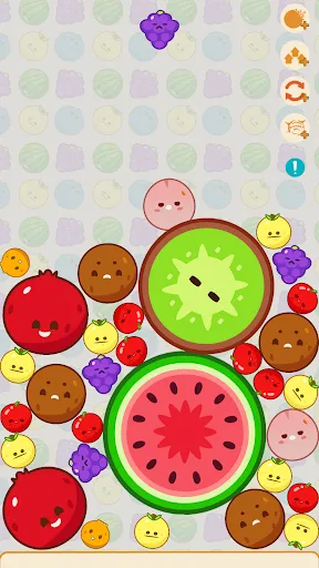 Melon Chill: Fruit Drop | Games | XWorld