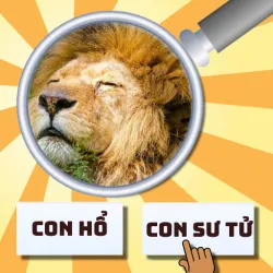 XWorld | GuessPho Quiz bằng tiếng Việt