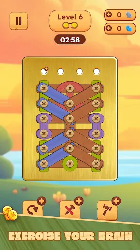 Wood Puzzle: Nuts & Bolts | Games | XWorld