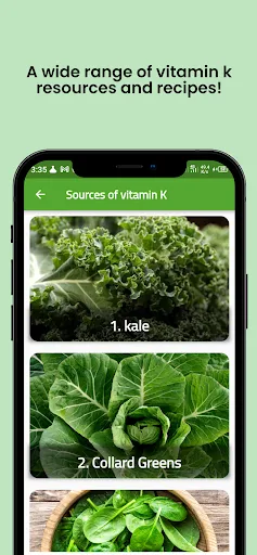 Vitamin K Guide | Permainan | XWorld