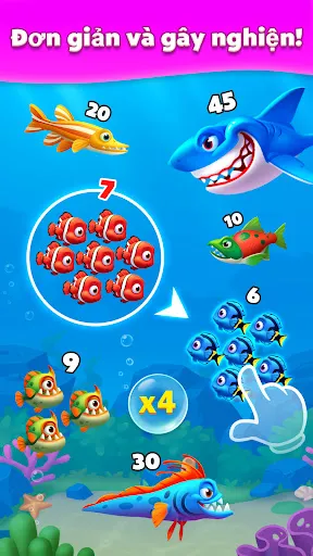 Solitaire Fish - เกมไพ่ออฟไลน์ | 游戏 | XWorld