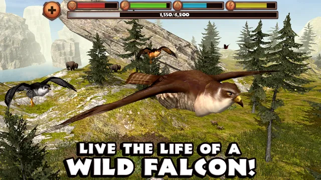 Falcon Simulator | Игры | XWorld