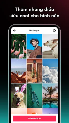 TikTok Video Wallpaper | Games | XWorld