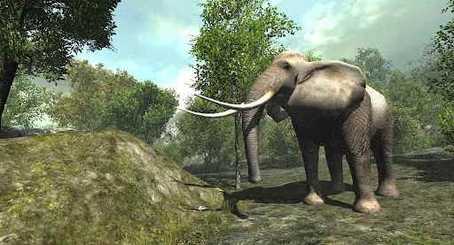 VR ZOO Safari Park Animal Game | Games | XWorld
