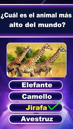 Preguntas y Respuestas Juego | juego | XWorld
