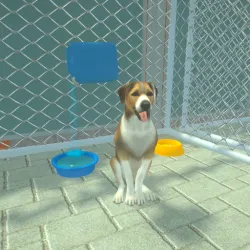 XWorld | Animal Shelter Pet World Life