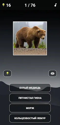 Викторина о животных | Игры | XWorld