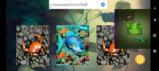 น้ำเต้าปูปลา'23 | เกม | XWorld