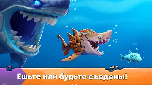 Hungry Shark Evolution: акула | Игры | XWorld