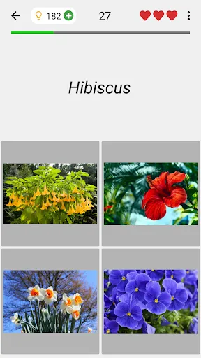 Flowers Quiz - Identify Plants | Permainan | XWorld