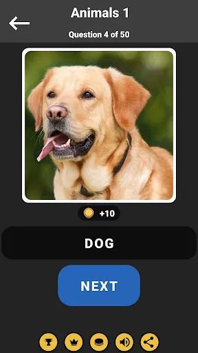 GuessPho Zoom Pics Quiz 1 Word | Games | XWorld