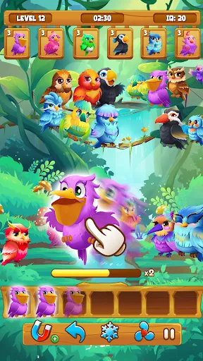 Bird Sort Match Puzzle Game | Games | XWorld