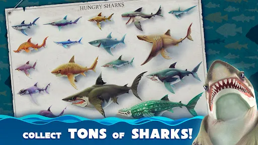 Hungry Shark World | Permainan | XWorld