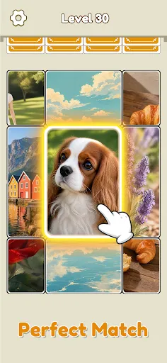 Drop Jigsaw: Solitaire Puzzle | Jogos | XWorld
