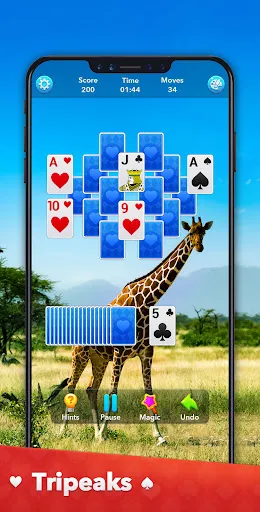 Solitaire Collection | Permainan | XWorld