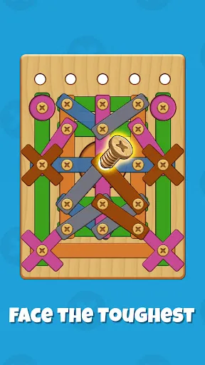 Screw and Nuts: Wood Puzzle | Игры | XWorld