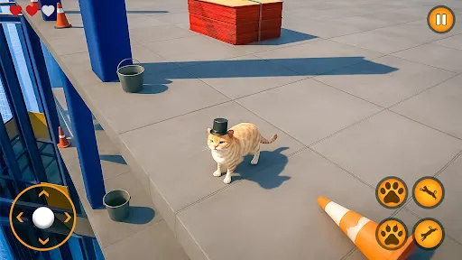 Cat Simulator: The Way is Down | Permainan | XWorld