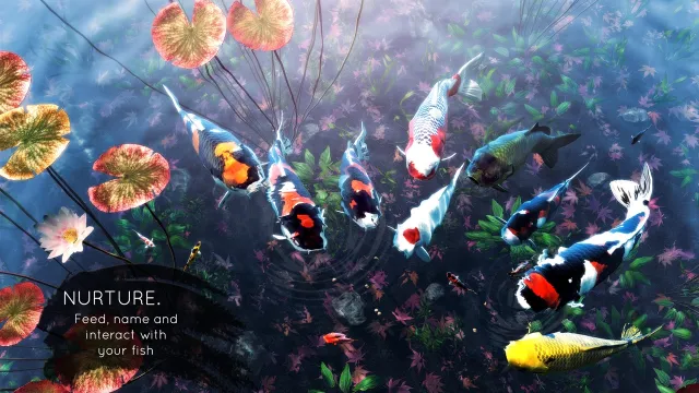 My Koi | เกม | XWorld