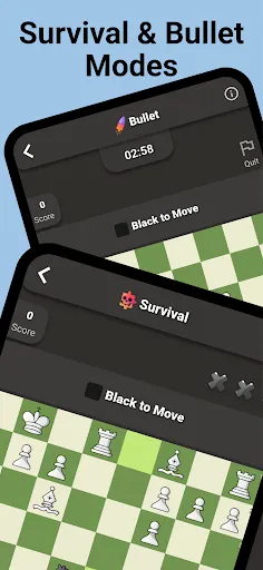 Brilliant Chess: Chess Puzzles | Games | XWorld