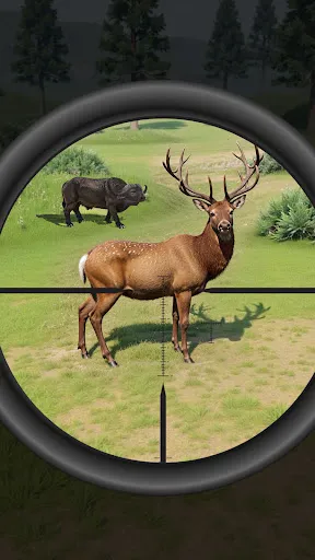 Wild Animal Hunting Clash | Игры | XWorld