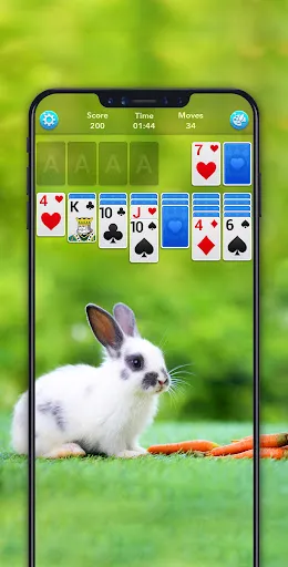 Solitaire | Games | XWorld