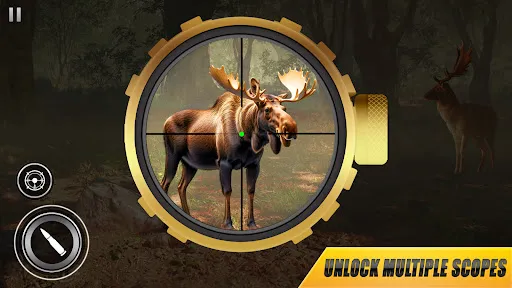 Animal Hunter Shooting Games | juego | XWorld