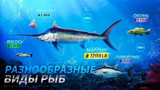 Fishing Master | Игры | XWorld