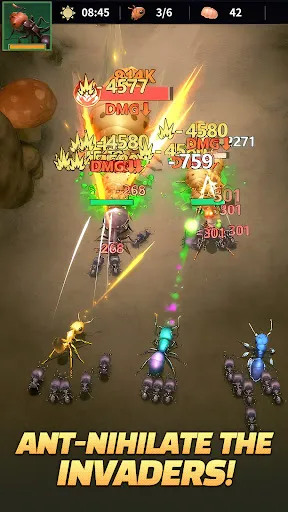 Ant Kingdom: Survival War | Permainan | XWorld