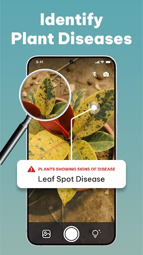 LeafCheck: Plant Identifier | 游戏 | XWorld
