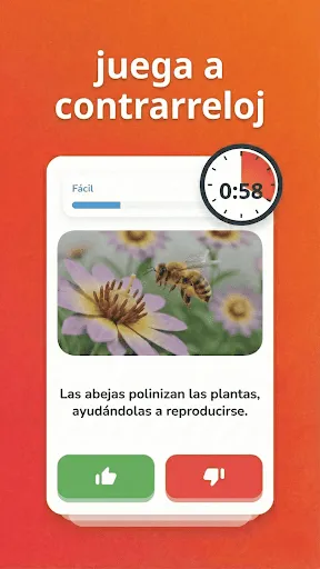 Verdadero o Falso — Quiz | juego | XWorld
