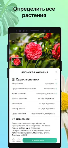 PictureThis растения признать | Игры | XWorld