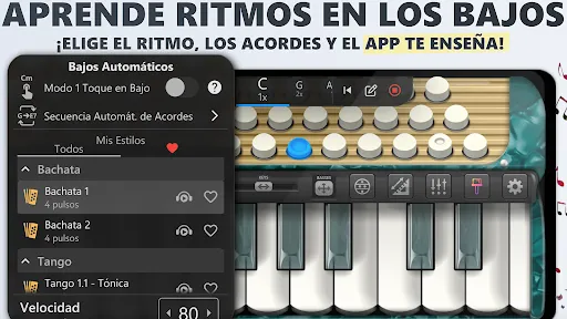 Acordeón Teclas Cassoto Piano | juego | XWorld