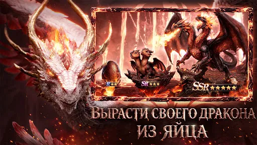 Rise of Dragons: War | Игры | XWorld Rise of Dragons: War | Игры | XWorld