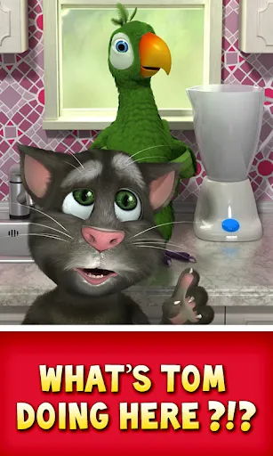 Talking Pierre the Parrot | เกม | XWorld Talking Pierre the Parrot | เกม | XWorld