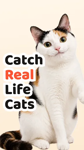 Cat Collector: Catch Real Cats | เกม | XWorld Cat Collector: Catch Real Cats | เกม | XWorld