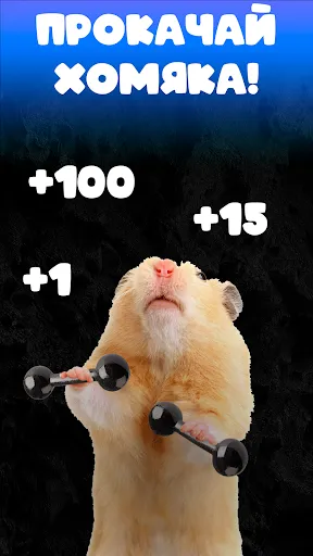 Hamster Clicker Тапать хомяка | Игры | XWorld