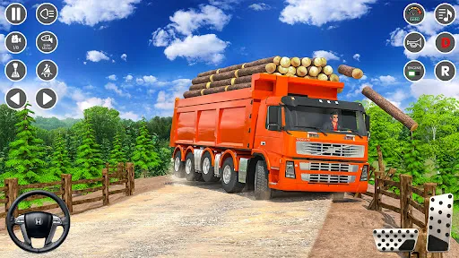 Cargo Truck 3D City Truck Game | 游戏 | XWorld