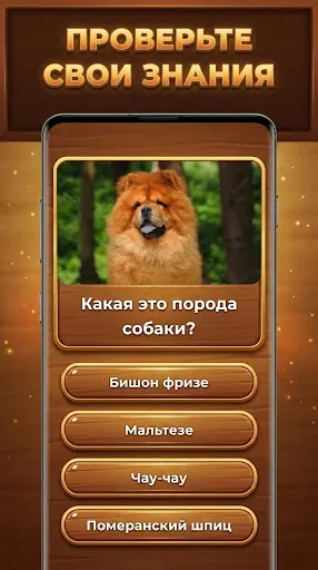 Древо Знаний: Trivia Blocks | Игры | XWorld Древо Знаний: Trivia Blocks | Игры | XWorld