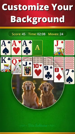 Vita Solitaire for Seniors | เกม | XWorld