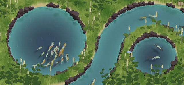Koi Farm | Games | XWorld